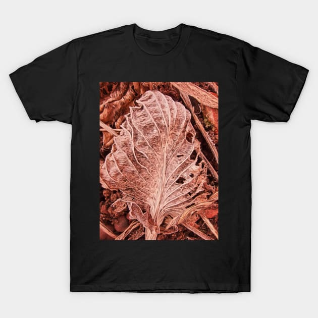 Winter Leaf T-Shirt by stuartchard